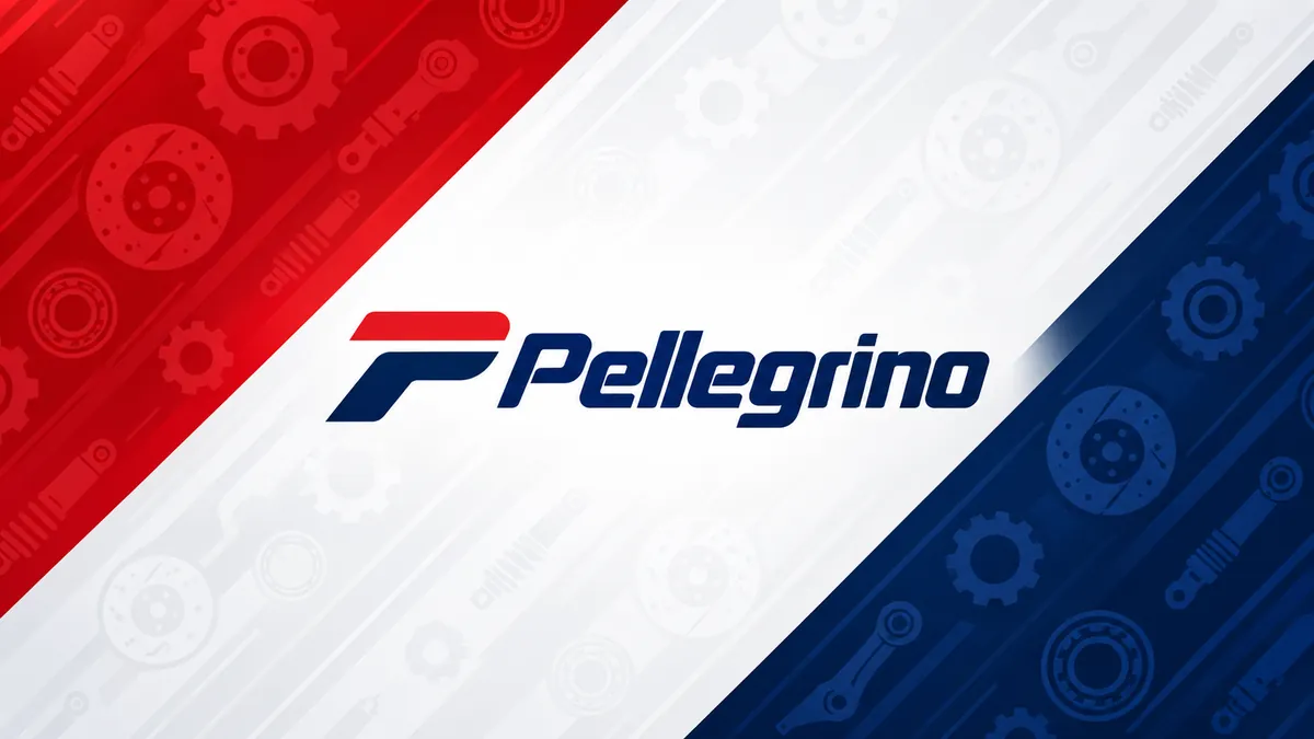 Identidade visual da Pellegrino em composição institucional