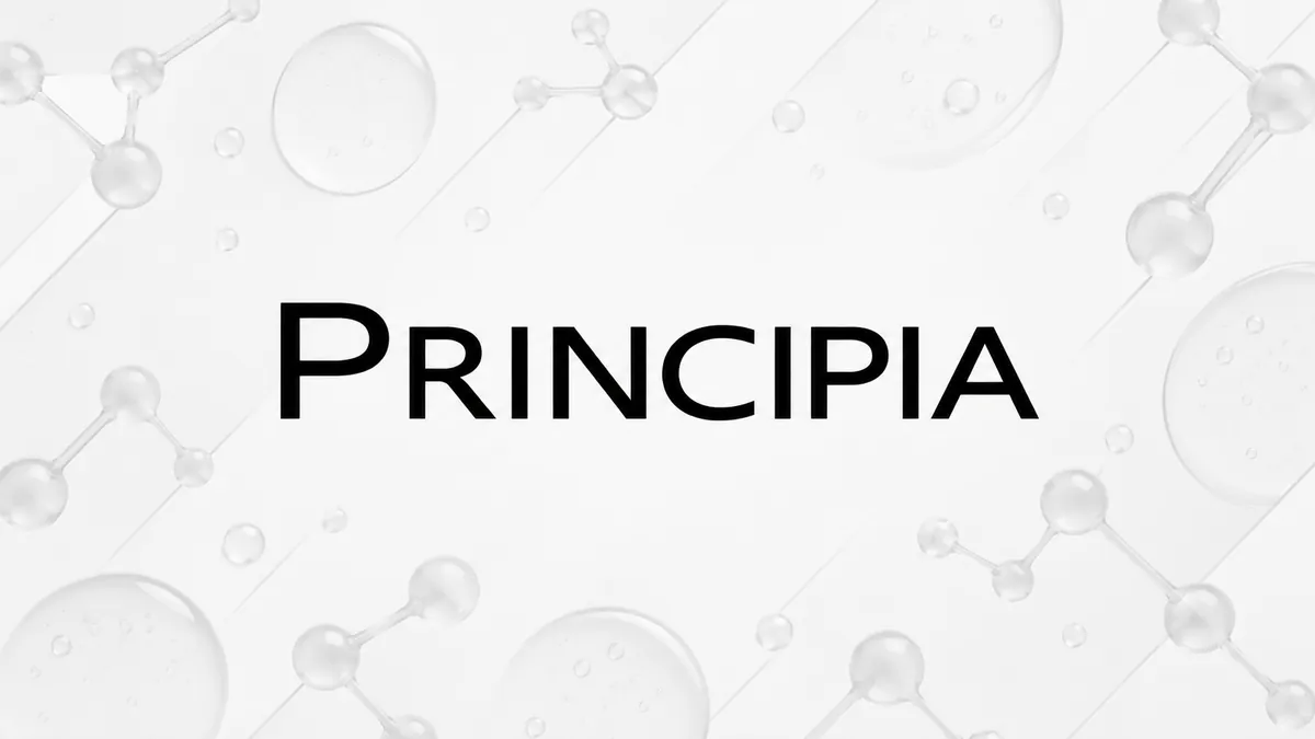 Identidade visual da Principia em composição institucional